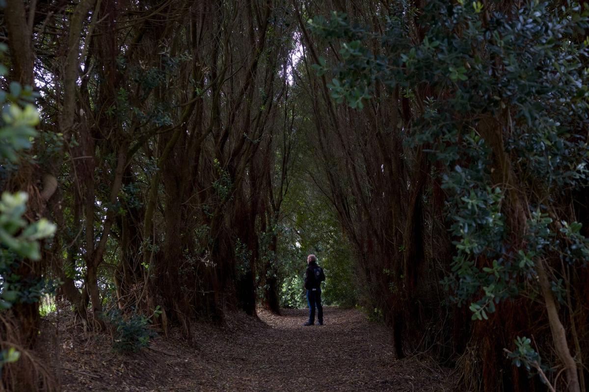 EN IMÁGENES: Así es el bosque-jardín de Luarca