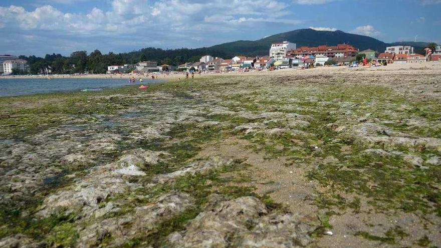 Acumulación de algas en la playa de Compostela. // Noé Parga