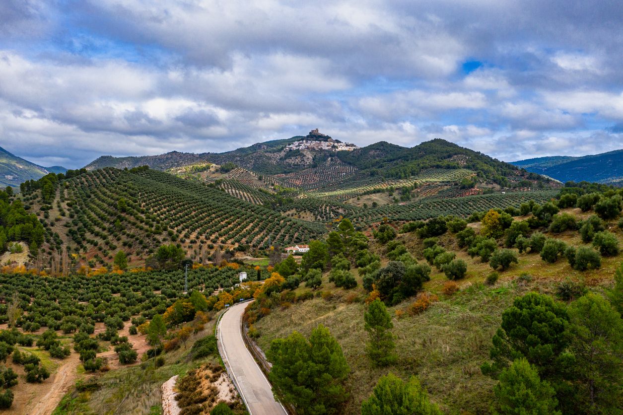 Otoño es época de abundancia en el parque