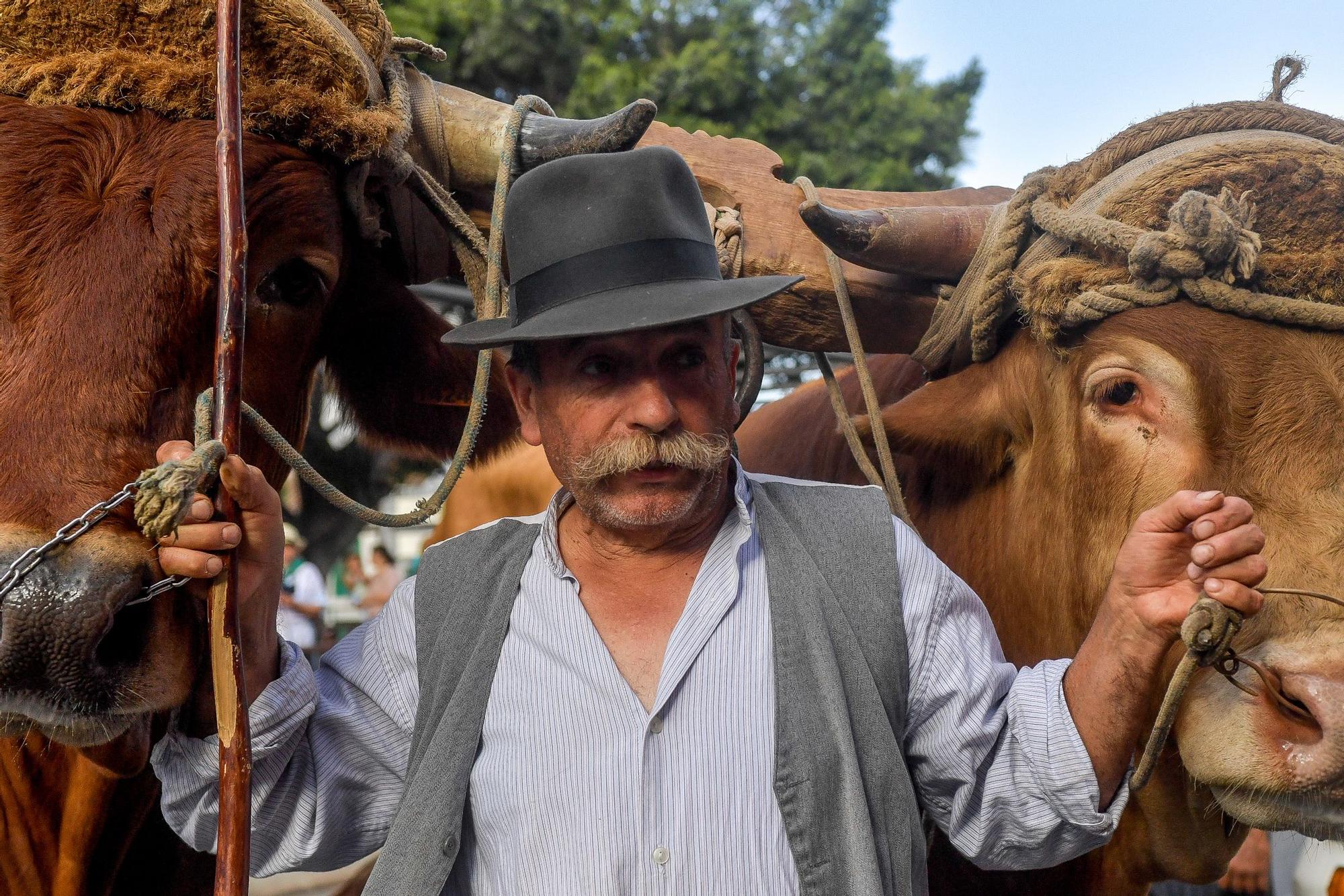 Romería de San Juan en Telde