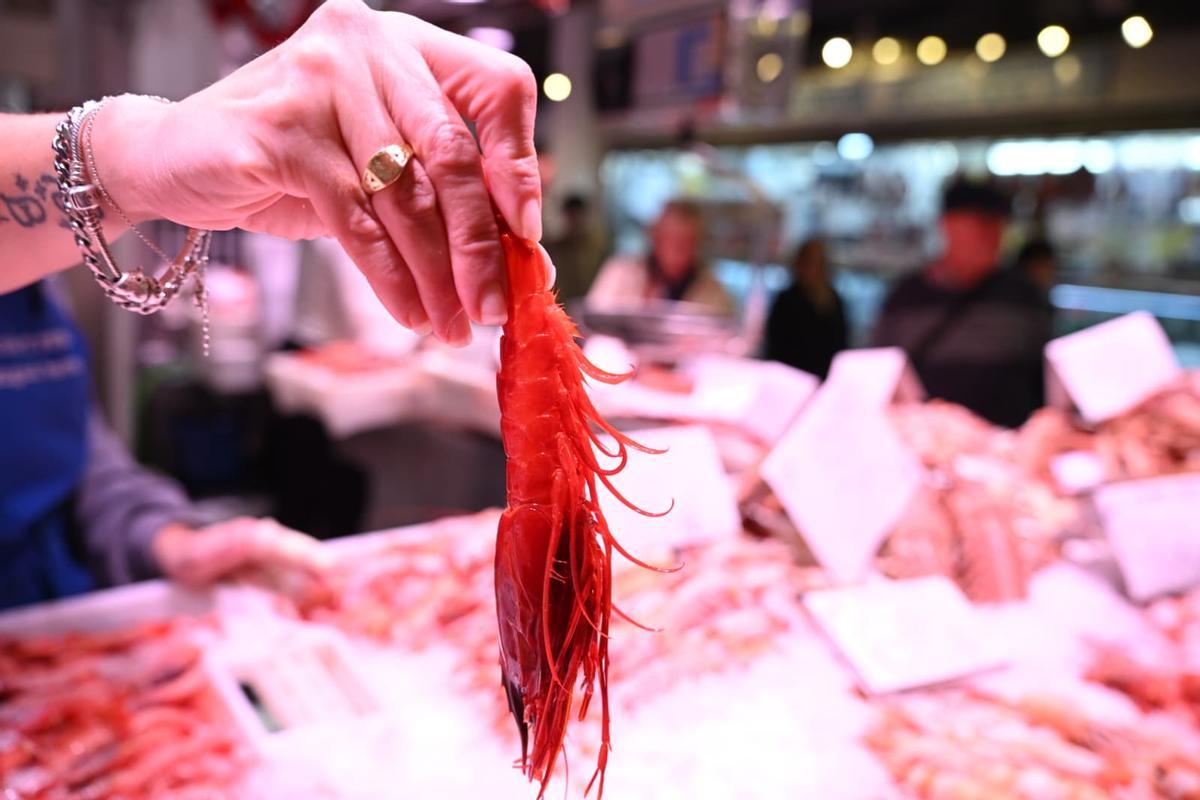 Un ejemplar de gamba roja.