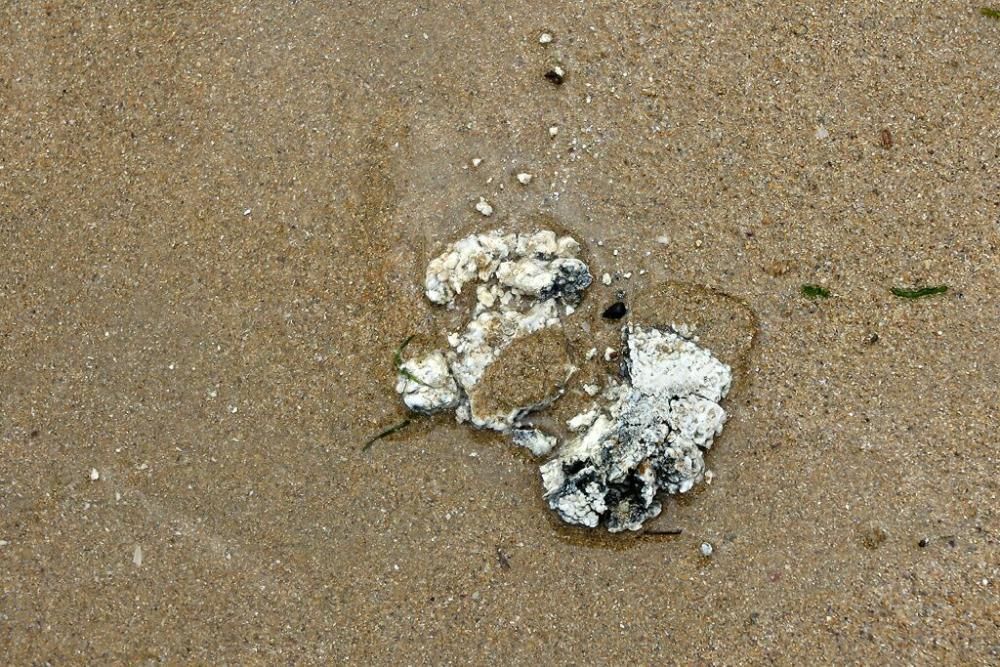 Surfistas denuncian malos olores en la playa de San Lorenzo