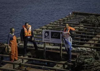 Primera batea que cuelga el cartel de mejillón ecológico