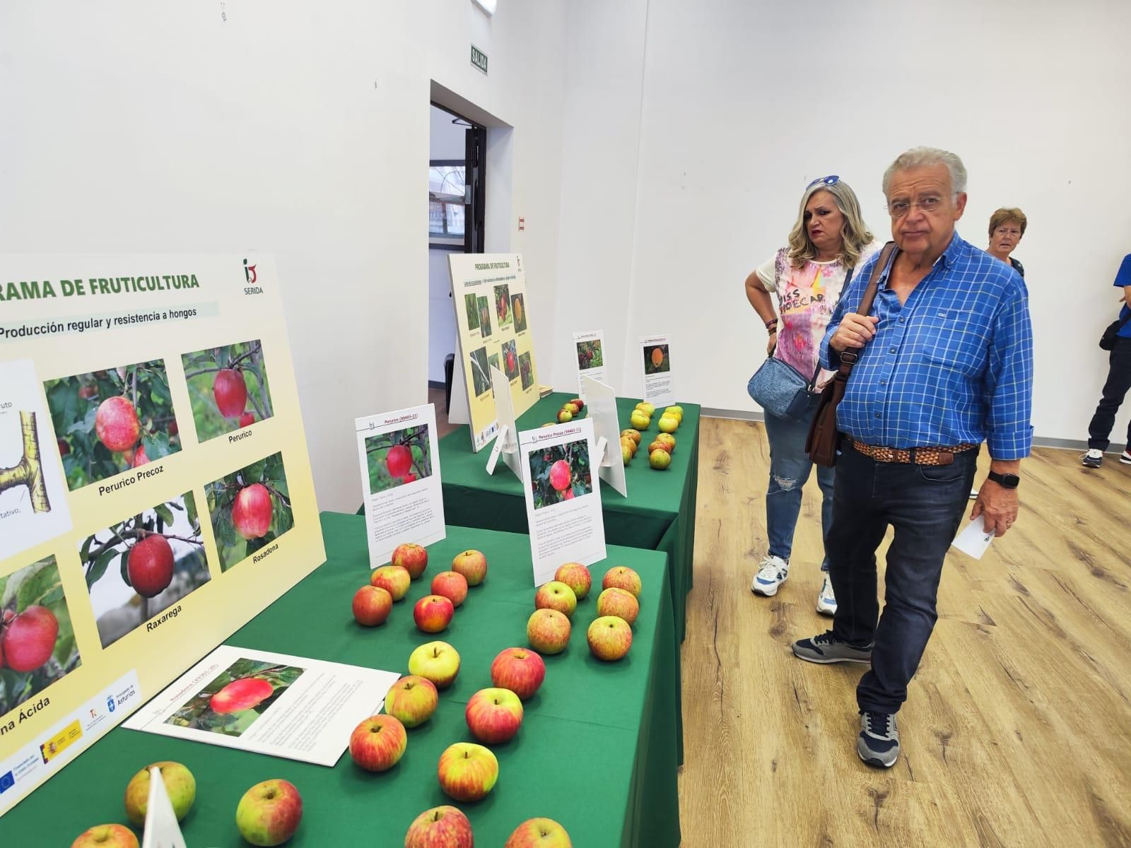 El Festival de la Manzana arranca en Villaviciosa: exposiciones, talleres y actividades infantiles