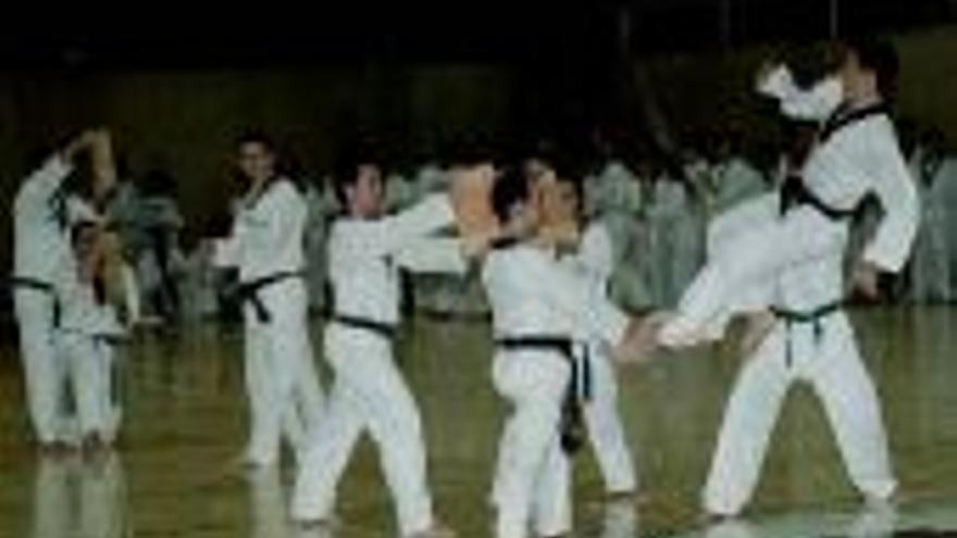 Cáceres, capital del taekwondo