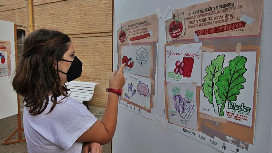 «Una llavora l’escola»:el projecte que arrela l’alumnat a la terrade sempre
