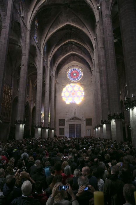 Die Sonne hat mitgespielt: Am Freitagmorgen (11.11.) zog die magische Acht in der Kathedrale von Palma Einheimische wie Mallorca-Urlauber in ihren Bann.