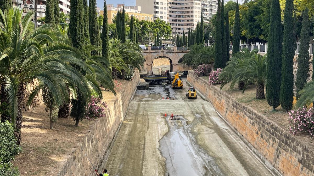 Operarios de Emaya han iniciado la limpieza del tramo urbano del cauce del torrente de sa Riera.