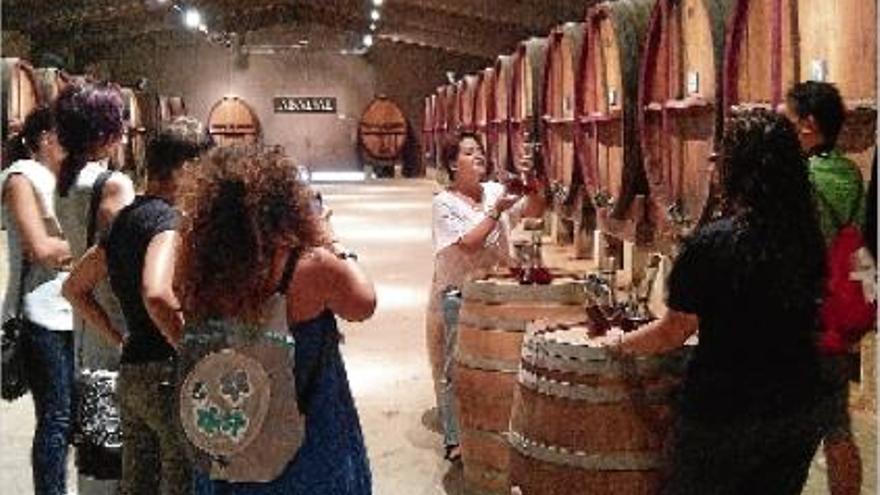 El grup va visitar els cellers Abadal, Àrtium i Oller del Mas, i va fer un recorregut per les vinyes en BTT