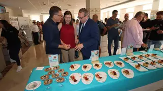 De tapas y pinchos por Benidorm