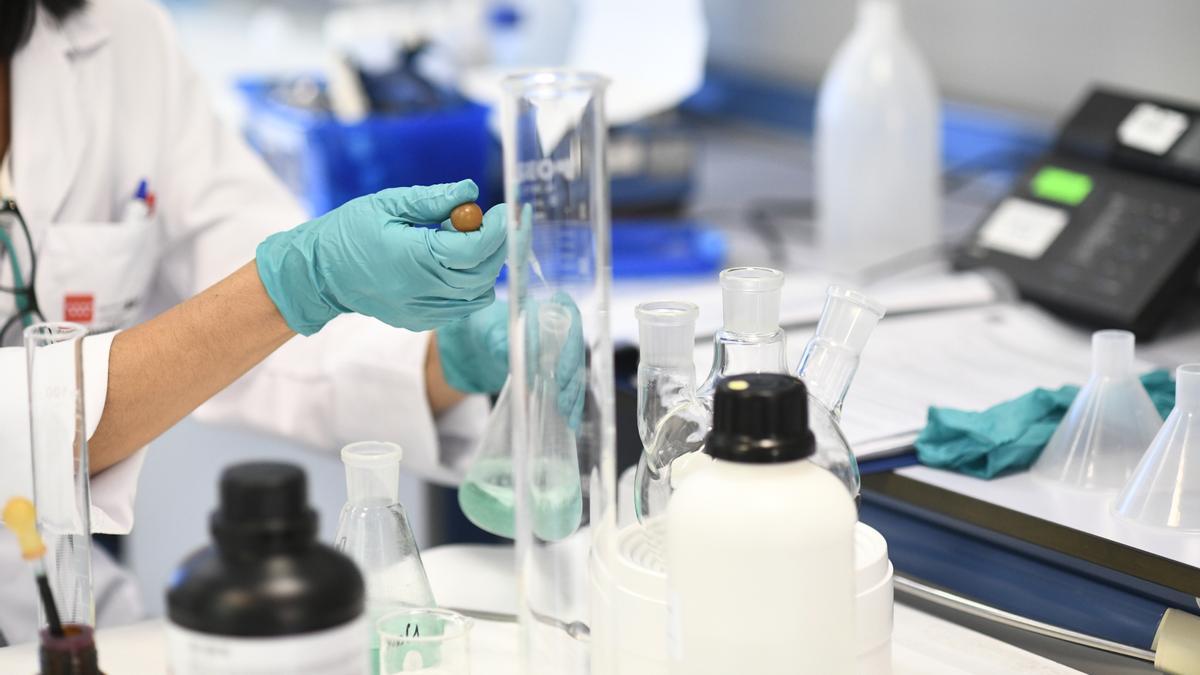 BALEARES.-El IdISBa destinará 262.000 euros para proyectos de investigación en salud y para apoyar a investigadores clínicos