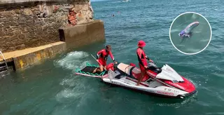 La carabela portuguesa fue "un caso aislado" en Gijón, recalca el Ayuntamiento