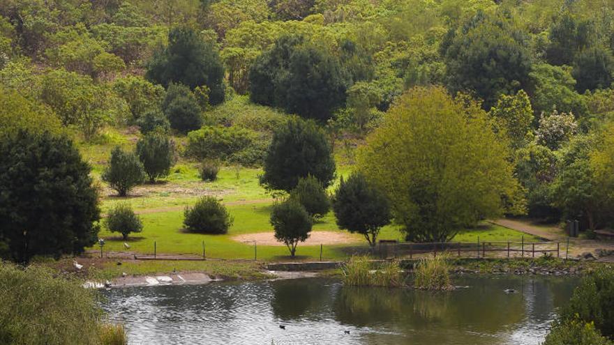 El Cabildo premia a la Mancomunidad del Norte por la defensa del paisaje