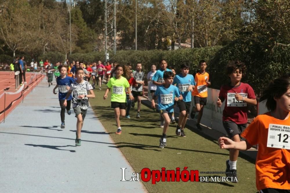 Final Cross Escolar de Lorca . Alevín masculino