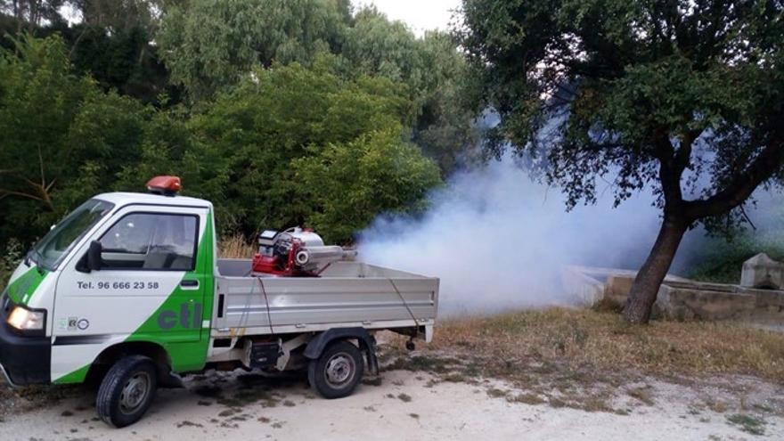 Labores de fumigación en la playa de Urbanova, imagen de archivo