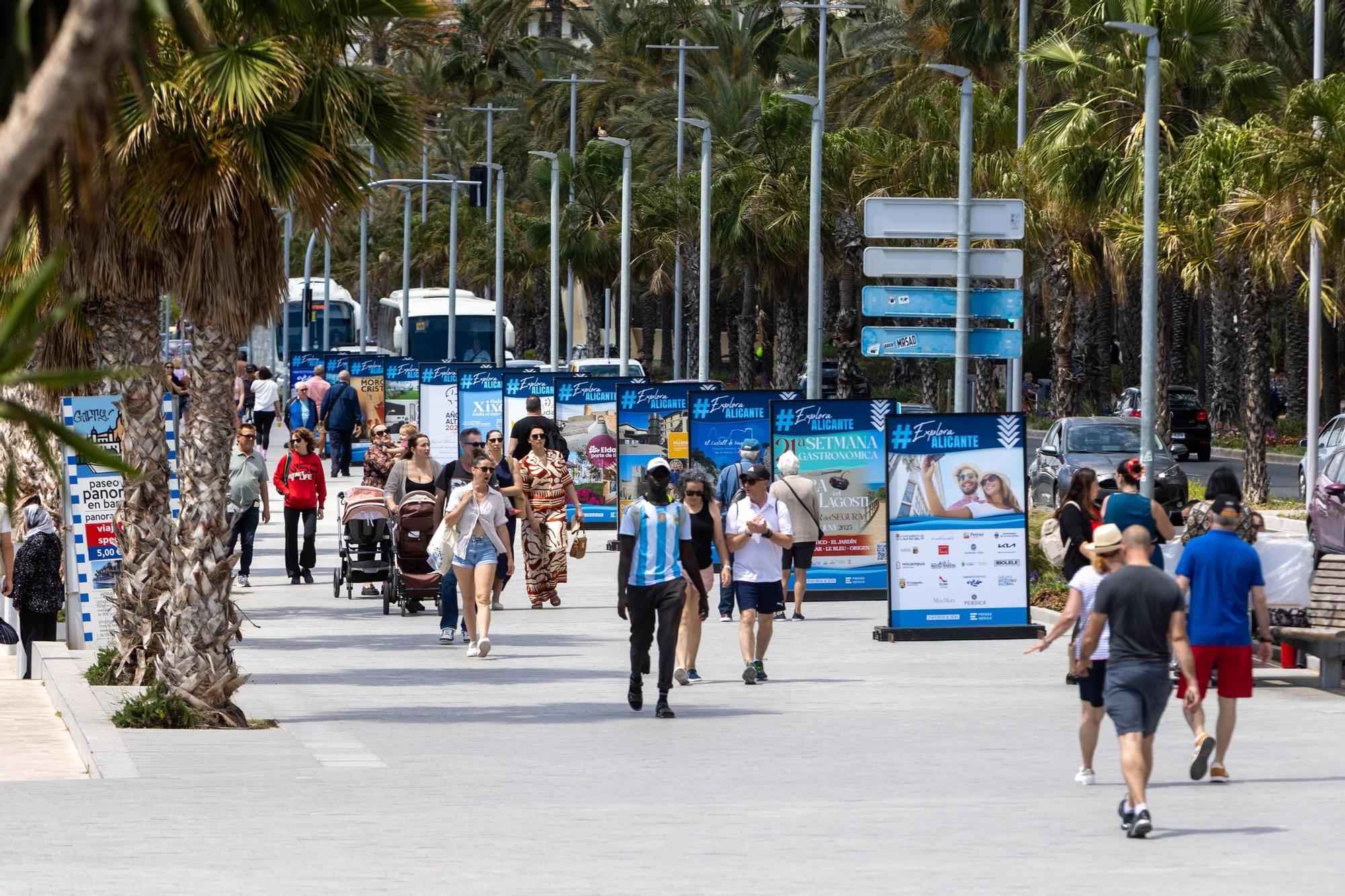 Explora Alicante en el paseo del puerto