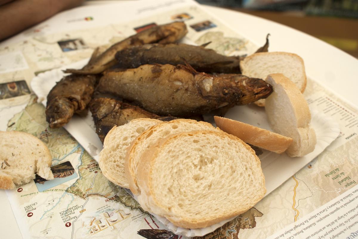 Tencas fritas, un pez de charca que podrás disfrutar en Casar de Cáceres.