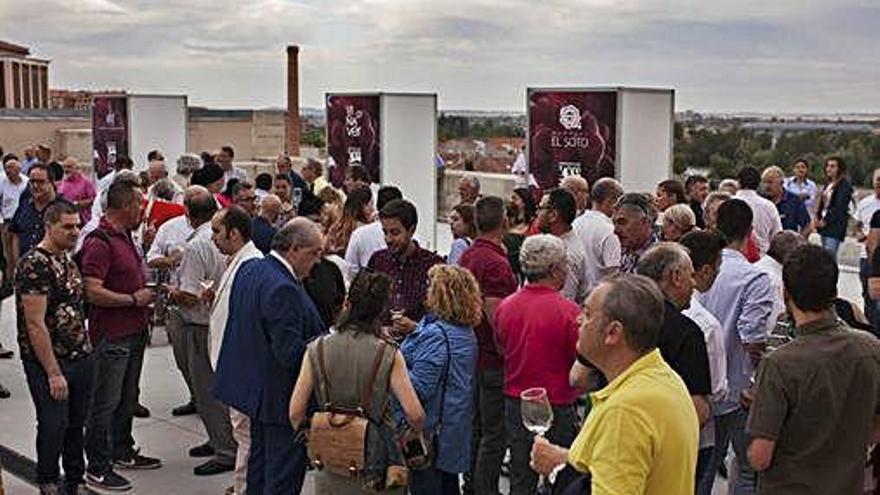 Acto de presentación de los vinos de la D.O. Tierra del Vino, en la terraza del Ramos Carrión.