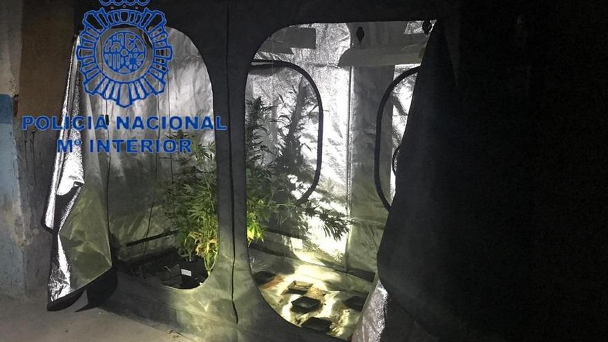 Dos niños de 8 y 12 años vendían la marihuana que sus padres plantaban en València