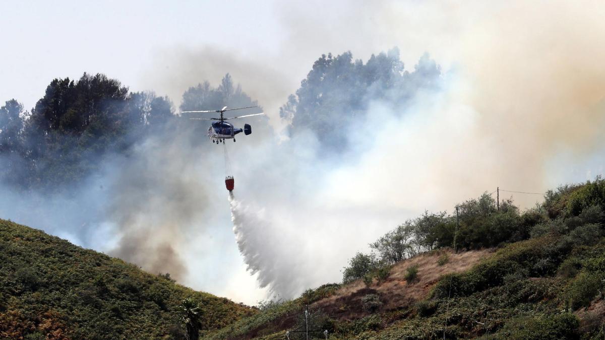 Incendio forestal en Gran Canaria en 2019.