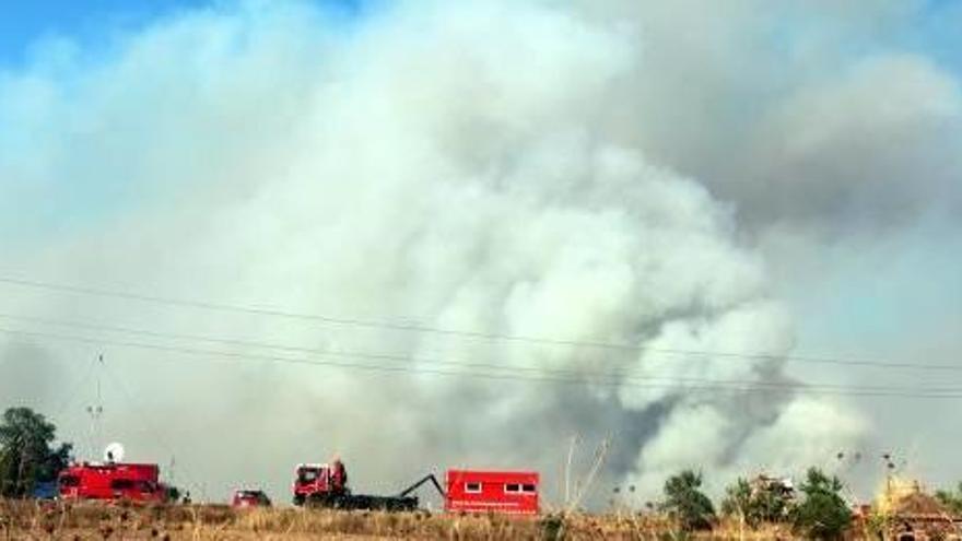 Un incendi crema 300 hectàrees al Bages