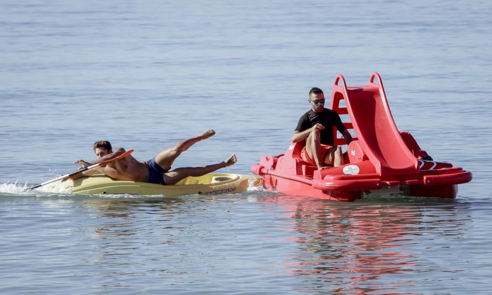 Hai-Alarm mit Happy-End auf Mallorca