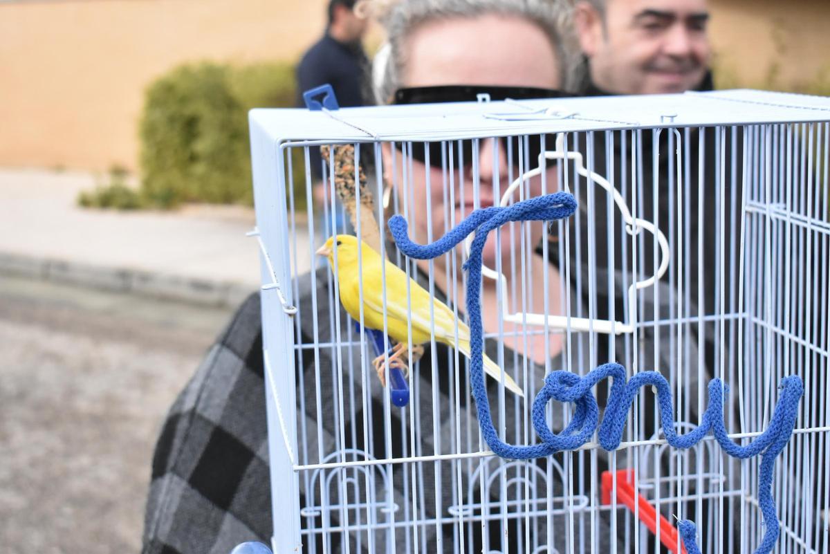 Fotogalería | Así ha sido la celebración de San Antón en el colegio San Antonio de Cáceres