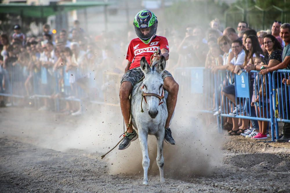 Carrera de burros y asnos y exhibición canina en D