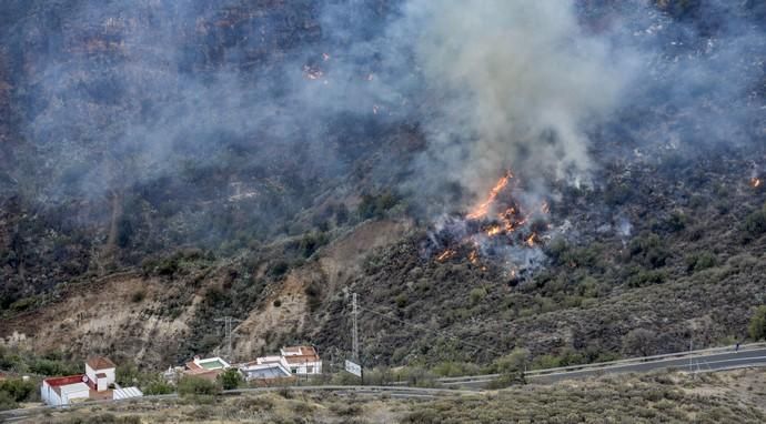 TEJEDA. Incendio en La Cumbre, fuego cerca del barrio Majuelo.  | 11/08/2019 | Fotógrafo: José Pérez Curbelo