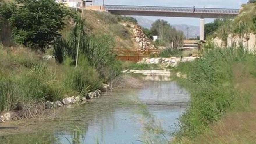 El Ayuntamiento de Aspe efectúa mejoras en el cauce del río Tarafa