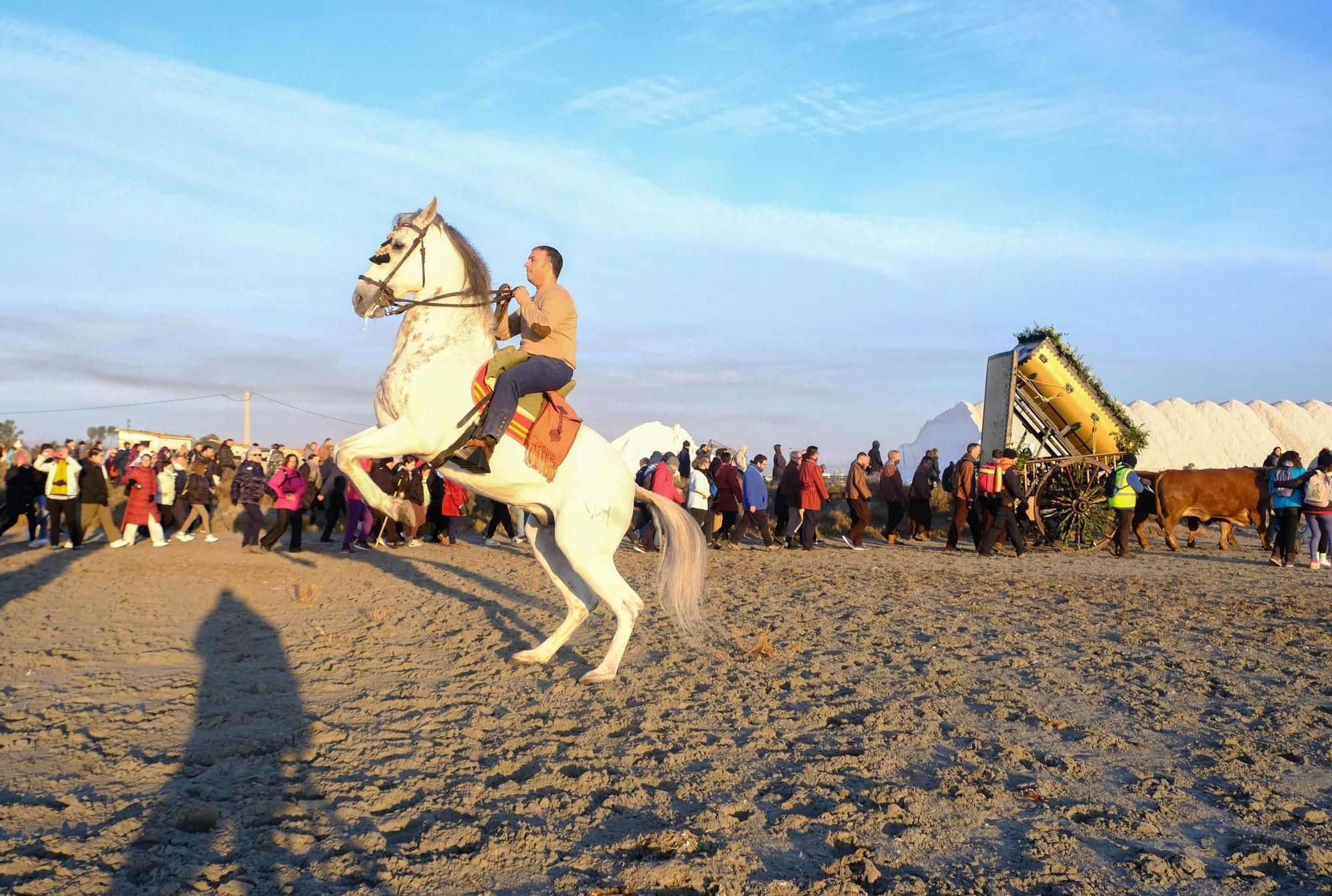 Cien imágenes para entender las Fiestas de la Venida de la Virgen de Elche