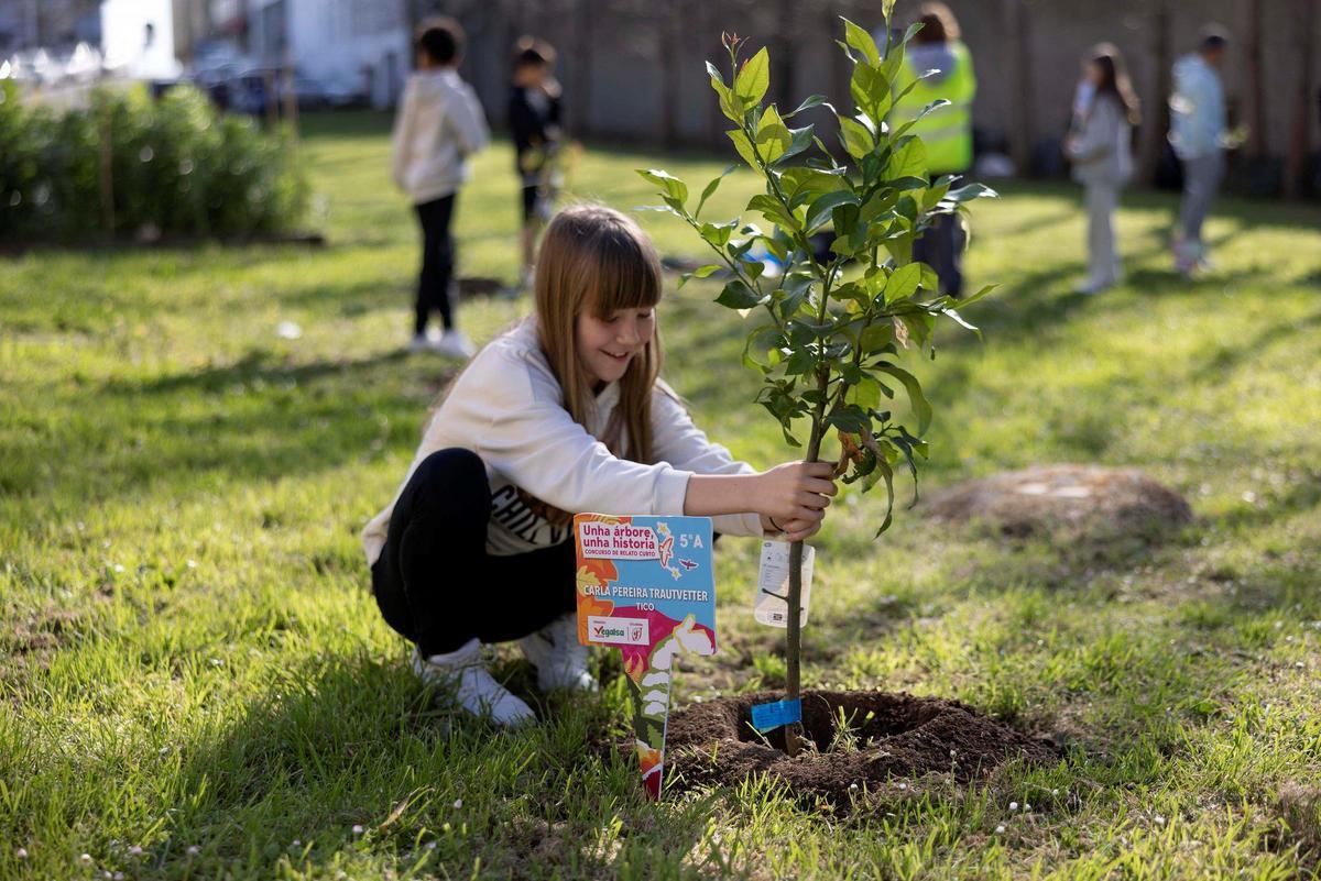 Un momento de la plantación.