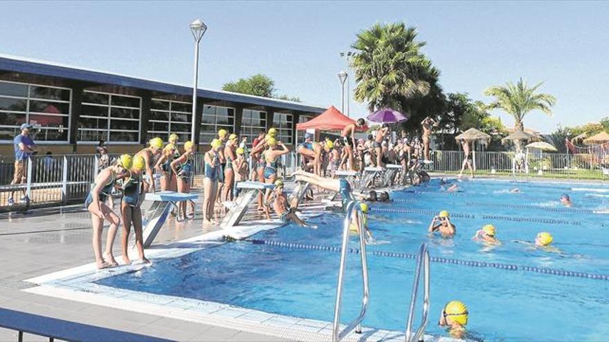El club de natación palma del río, en el circuito provincial de natación