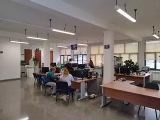 Llanera prohíbe el acceso de animales de compañía a la Casa Consistorial y al resto de dependencias administrativas municipales