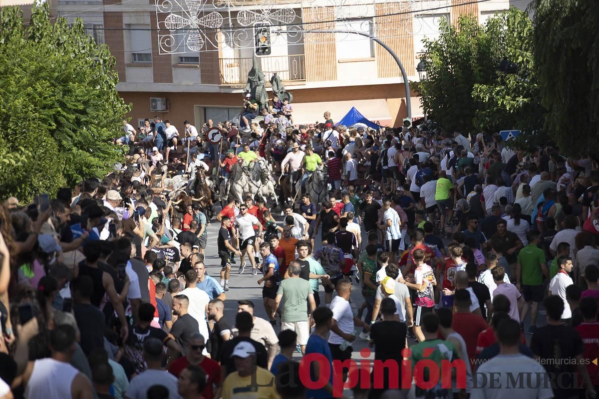 El segundo encierro de las Fiestas de Moratalla se salda con un herido