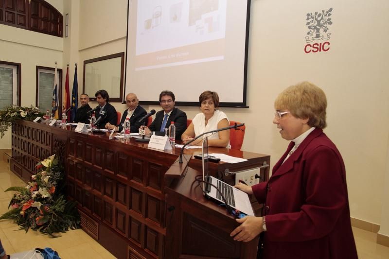 Premios CSIC-Canarias de Divulgación Científica