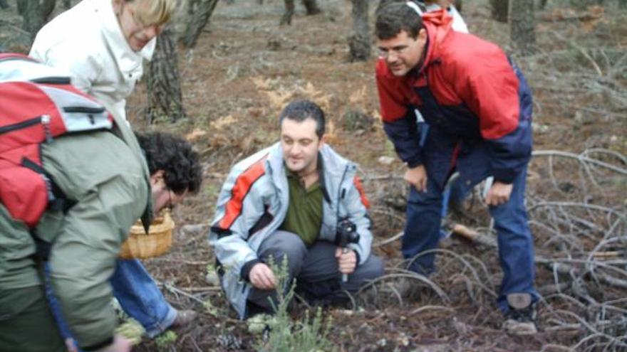 Varias personas recogen hongos en un bosque de la provincia