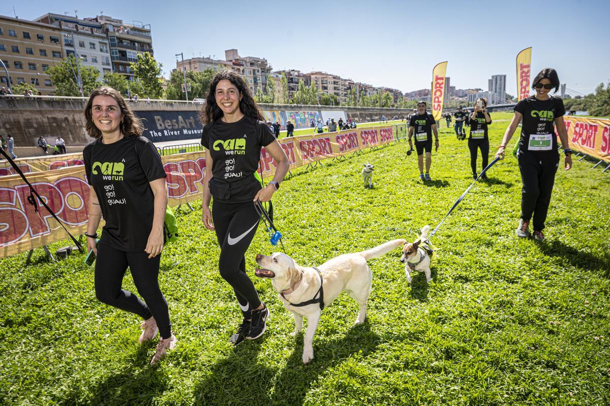 CAN WE RUN BARCELONA. La carrera organizada por Prensa Ibérica y El Periódico de Catalunya con la colaboración de Sport ,  donde las personas y sus mascotas perrunas corren en familia