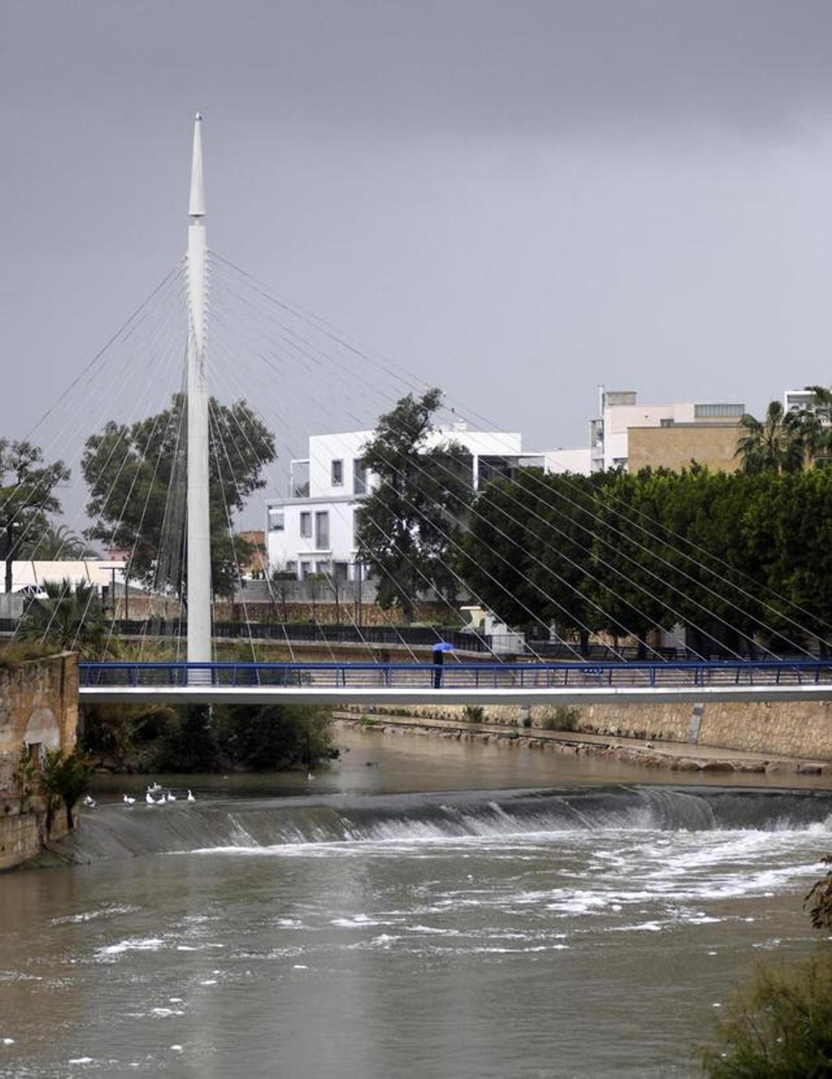 Los episodios de espumas y olores químicos en el río Segura tras las lluvias es algo recurrente.