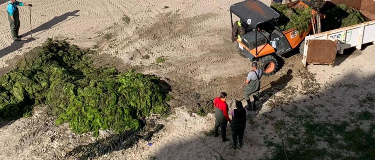 Las mariscadoras participaron en la retirada. |  // FARO