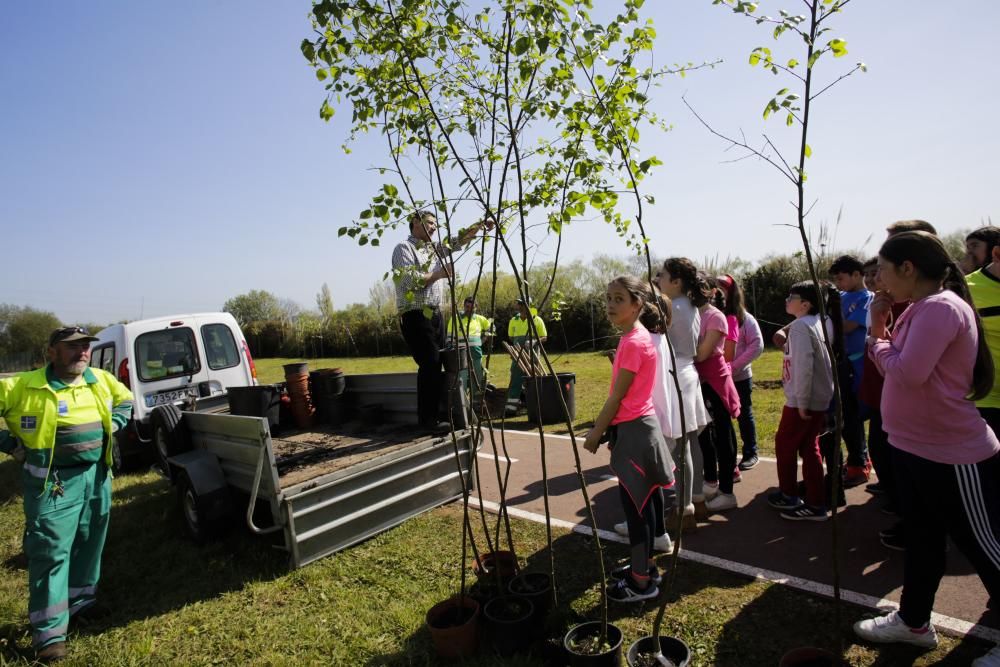 Celebración del "Día del árbol" en Oviedo