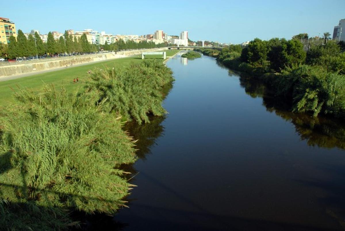 Vista del Parc Fluvial del Besòs, desde Santa Coloma.