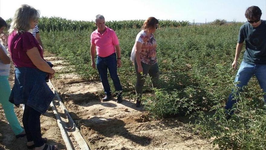 la escuela puerta de la serena visita el vivero