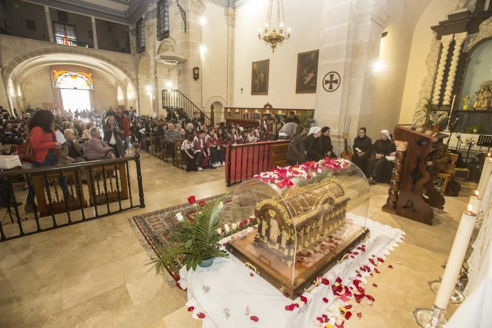 Las reliquias de Santa Teresa del Niño Jesús ya están en el monasterio de Santa Faz.