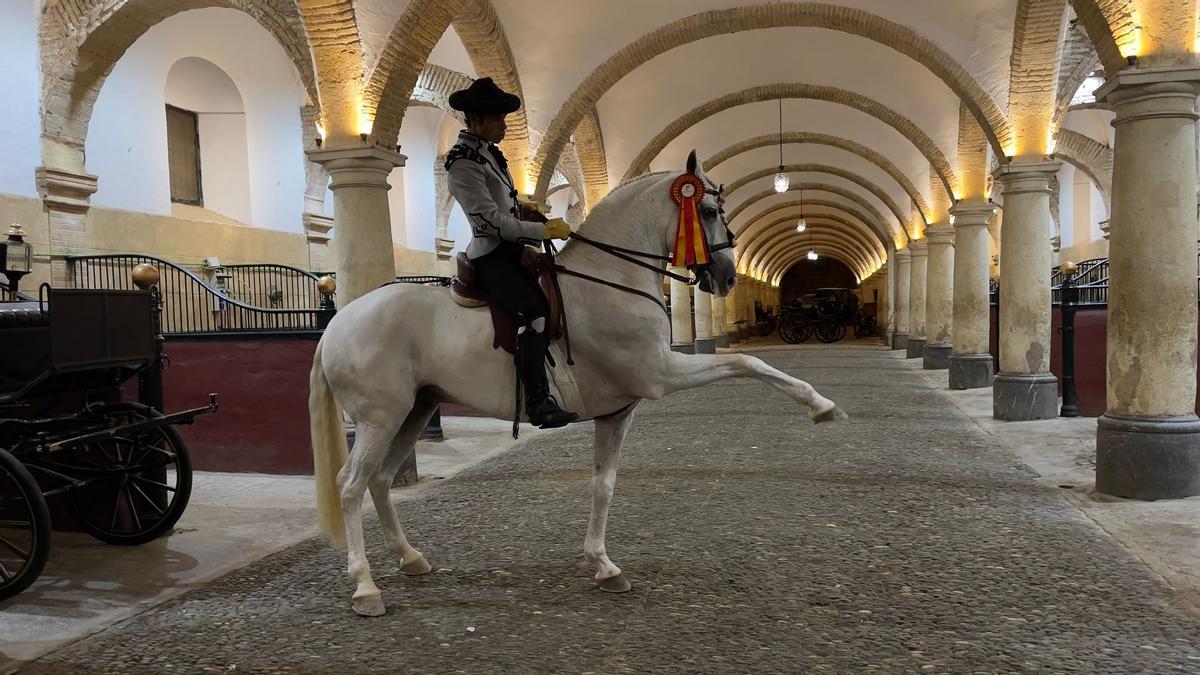Antonio Angulo Serrato, ganador en alta escuela con su caballo ‘Imposible’.
