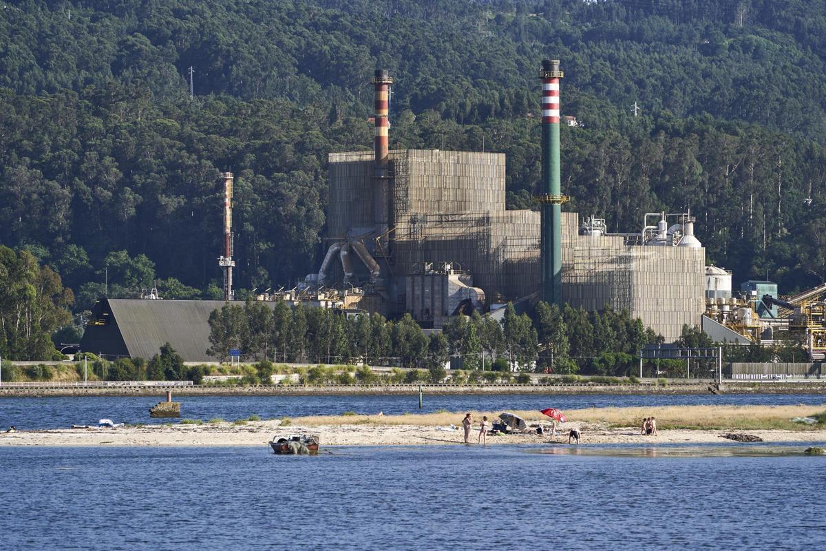 Habitantes y visitantes disfrutan de la plata en la ría de Pontevedra, frente a la biofabrica de Ence en Lourizán. / ENCE