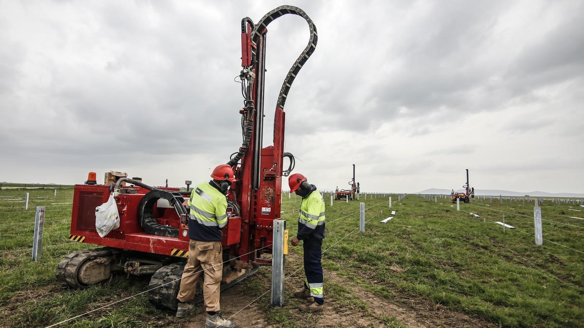 Trabajos de instalación de placas fotovoltaicas en una planta que construye Iberdrola a la altura del punto kilométrico 64 de la N-521, en el término municipal de Cáceres.