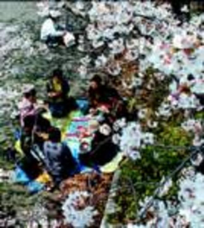 Picnic en un parque de Kioto.