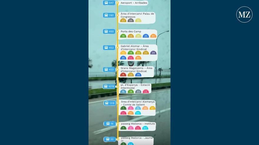 In 55 Sekunden schnell erklärt: So kommen Sie auf Mallorca vom Flughafen mit dem Bus nach Palma