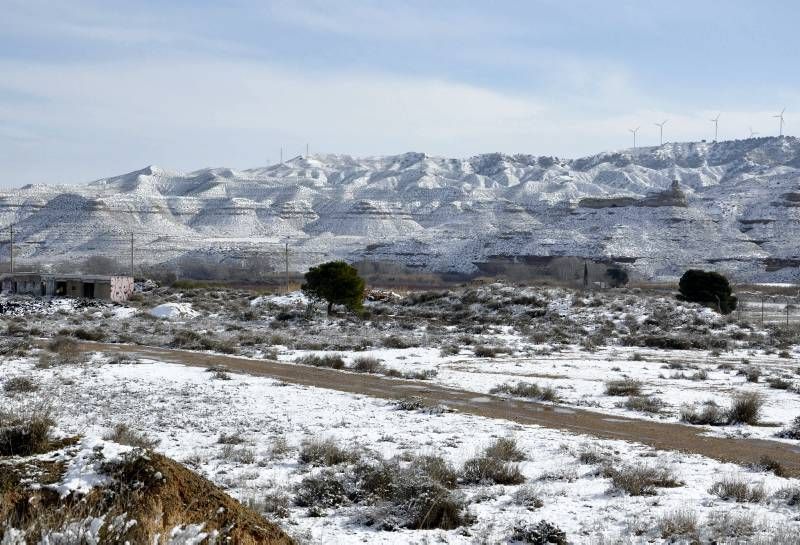 Fotogalería: Un manto blanco cubre gran parte de Aragón